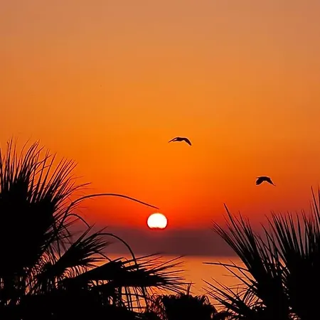 Alex 34 * Larnaca