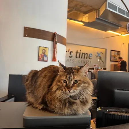 Alex 34 Апартаменти Ларнака