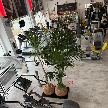 Alex 34 拉纳卡