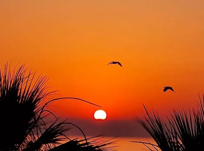 Alex 34 * Ларнака