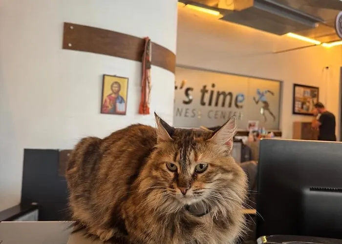 Alex 34 Апартаменти Ларнака