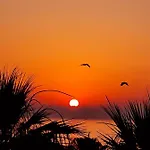 Alex 34 * Larnaca